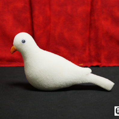 Colombe en Mousse